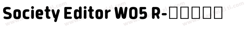 Society Editor W05 R字体转换